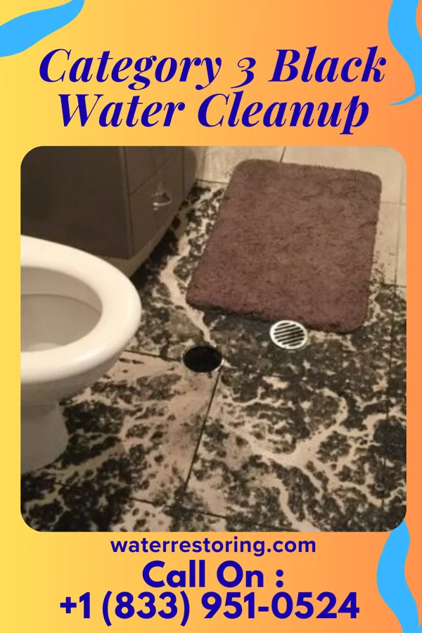 Category 3 Black Water Cleanup in Newtown, SC