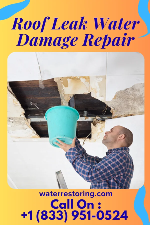 Roof Leak Water Damage Repair in Newtown, SC