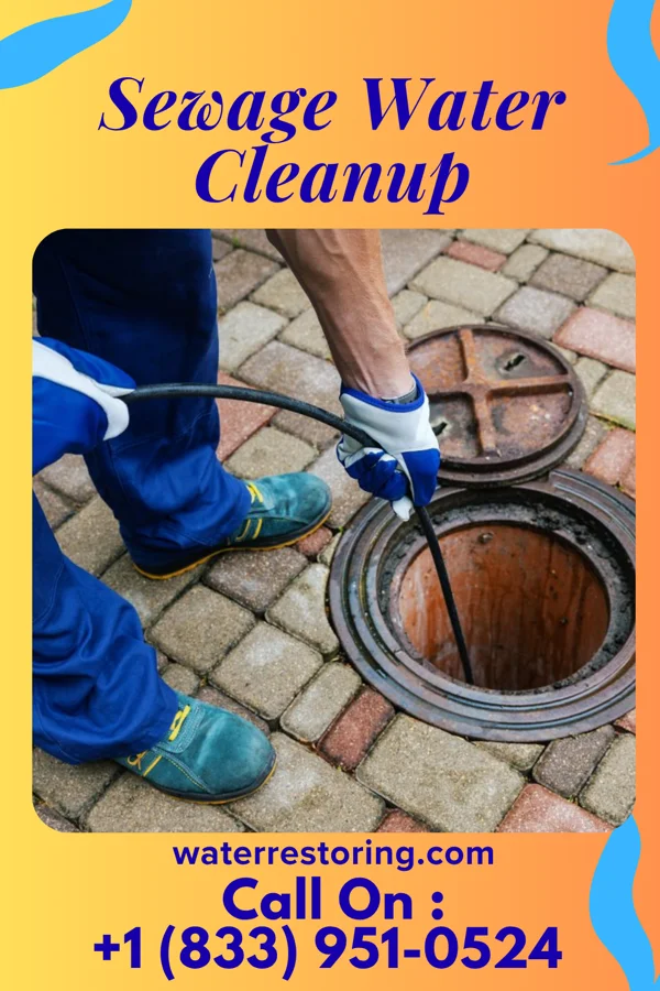 Sewage Water Cleanup in Newtown, SC