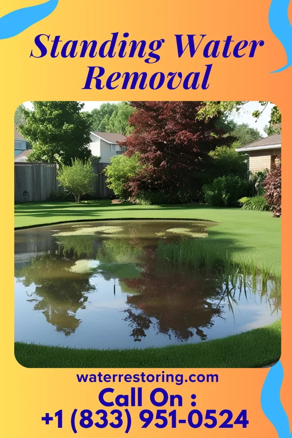 Standing Water Removal in Newtown, SC